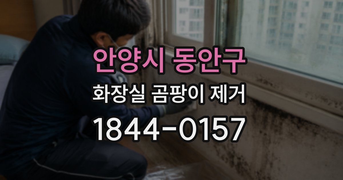 안양시 동안구 화장실 곰팡이 제거