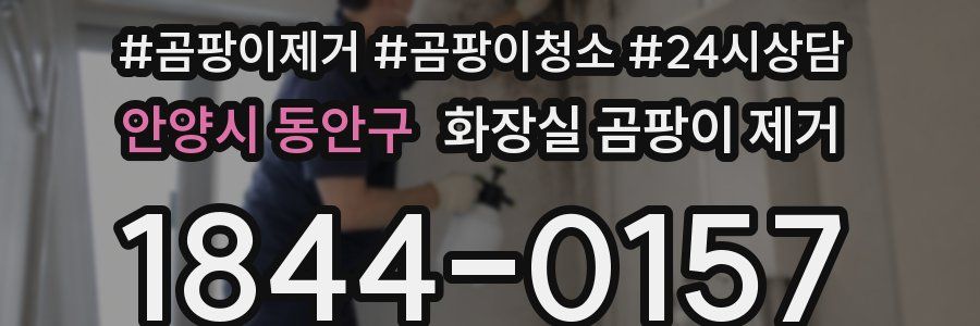 안양시 동안구 화장실 곰팡이 제거