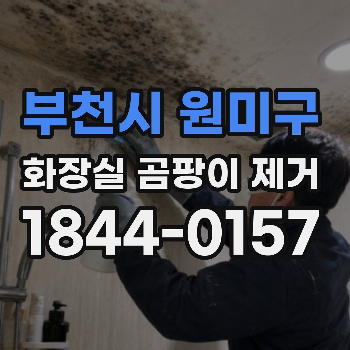 부천시 원미구 화장실 곰팡이 제거 습기와 누수 원인부터 살피는 이유