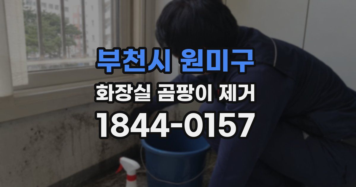 부천시 원미구 화장실 곰팡이 제거