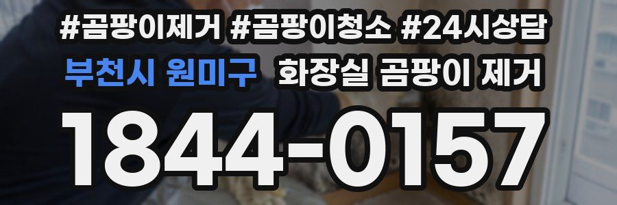 부천시 원미구 화장실 곰팡이 제거
