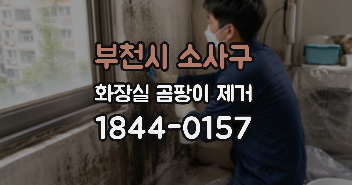 부천시 소사구 화장실 곰팡이 제거