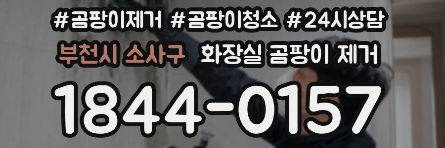 부천시 소사구 화장실 곰팡이 제거
