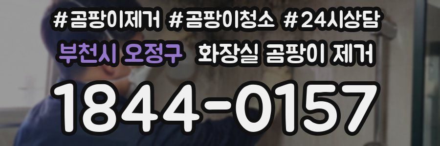 부천시 오정구 화장실 곰팡이 제거