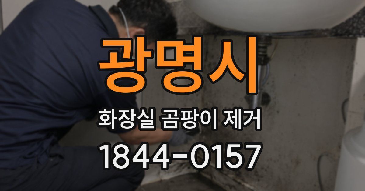광명시 화장실 곰팡이 제거