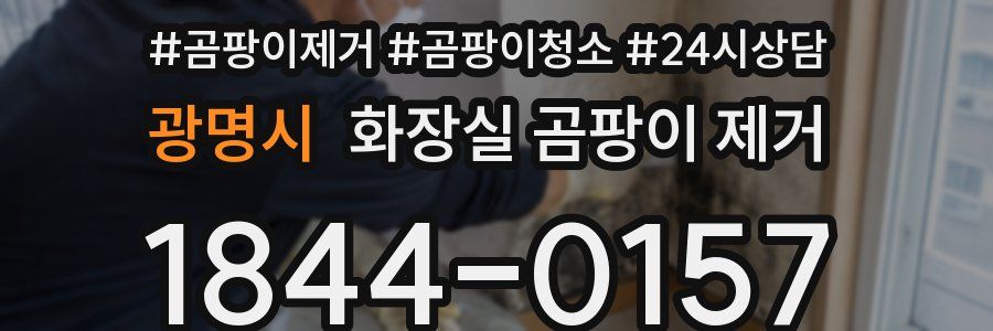 광명시 화장실 곰팡이 제거