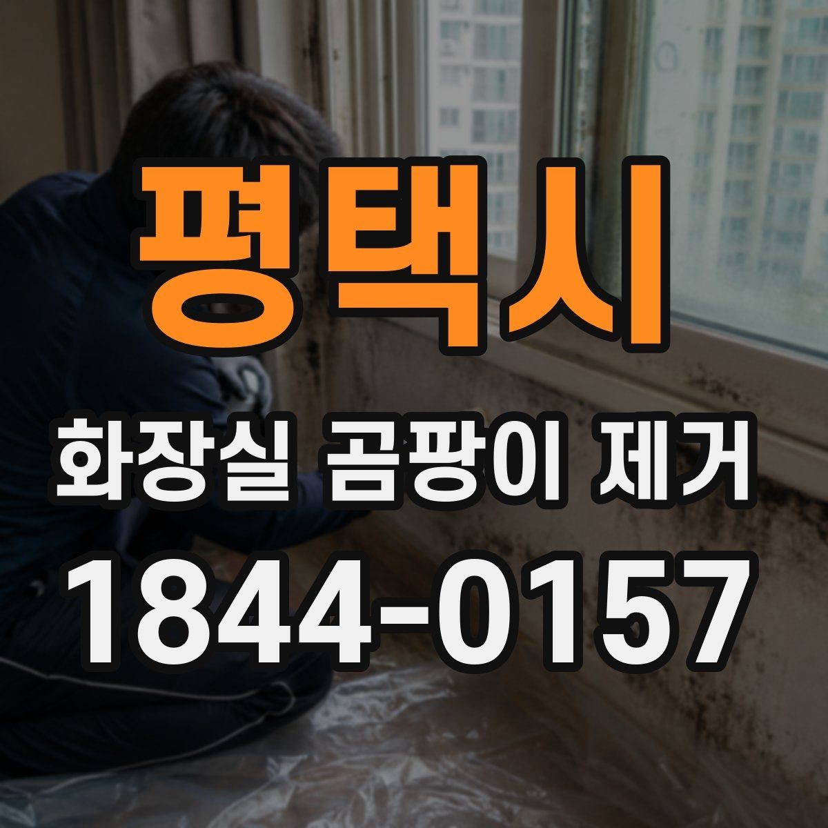 평택시 화장실 곰팡이 제거 욕실 구석 곰팡이 확산을 막는 기본 점검
