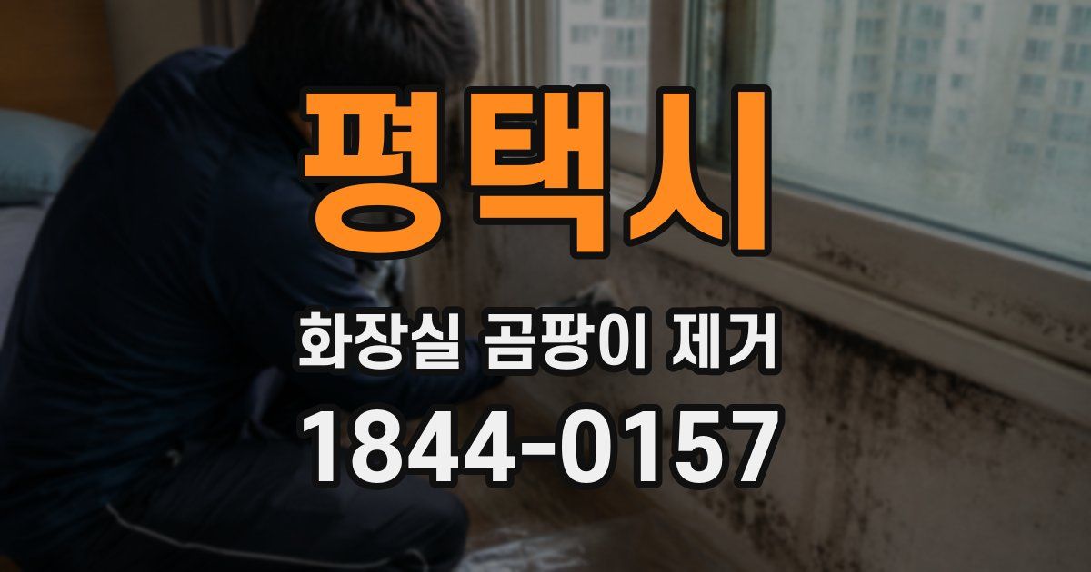 평택시 화장실 곰팡이 제거