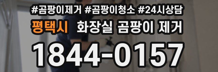 평택시 화장실 곰팡이 제거