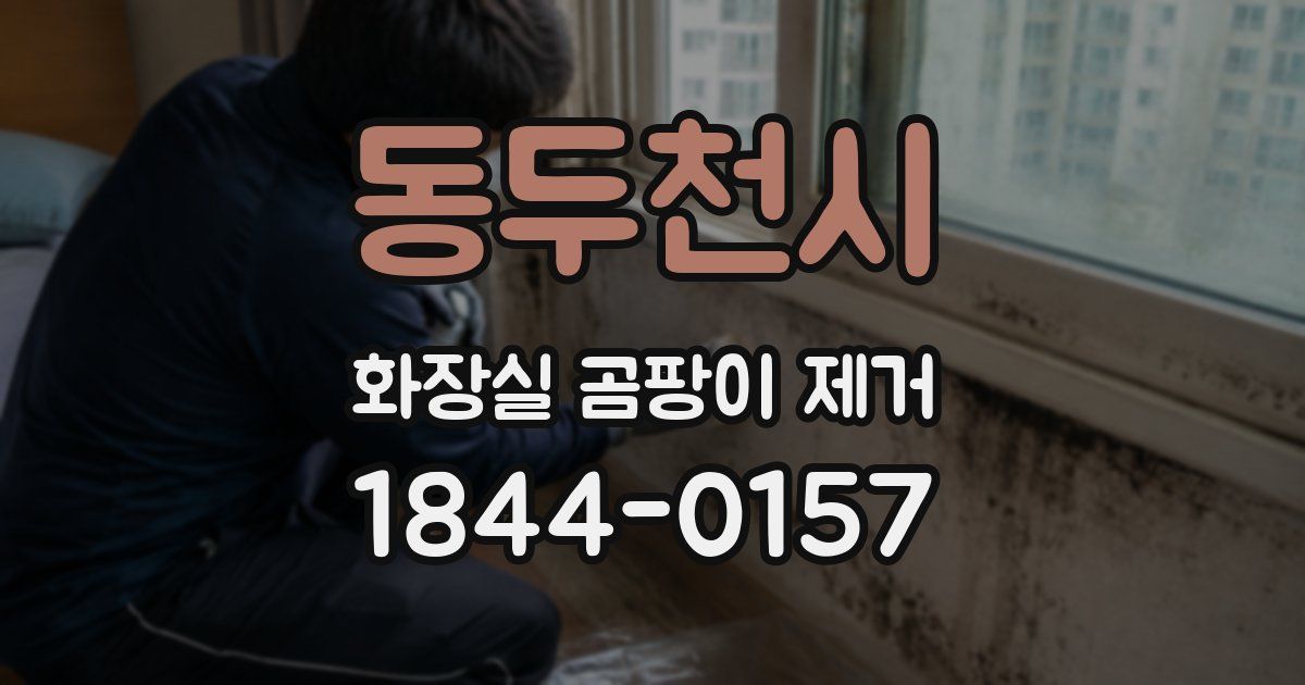 동두천시 화장실 곰팡이 제거