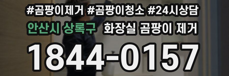 안산시 상록구 화장실 곰팡이 제거