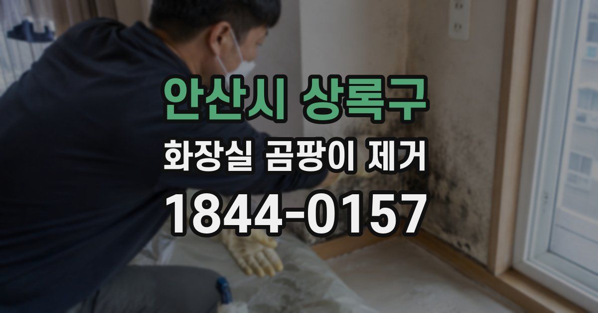 안산시 상록구 화장실 곰팡이 제거