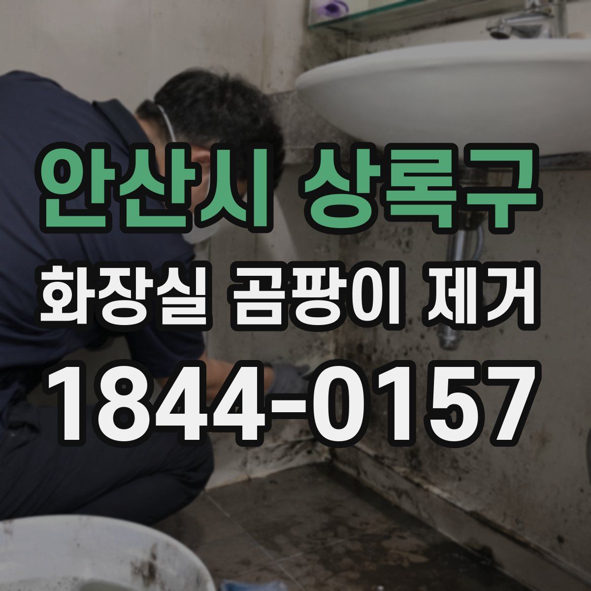 안산시 상록구 화장실 곰팡이 제거