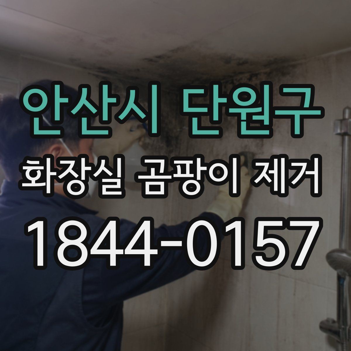 안산시 단원구 화장실 곰팡이 제거 전에 누수와 습기부터 확인하기