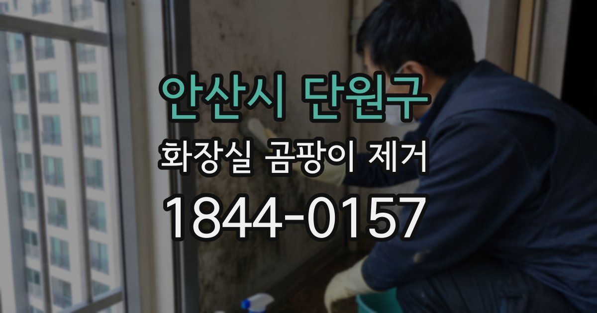 안산시 단원구 화장실 곰팡이 제거