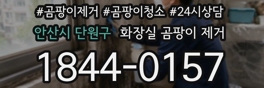 안산시 단원구 화장실 곰팡이 제거