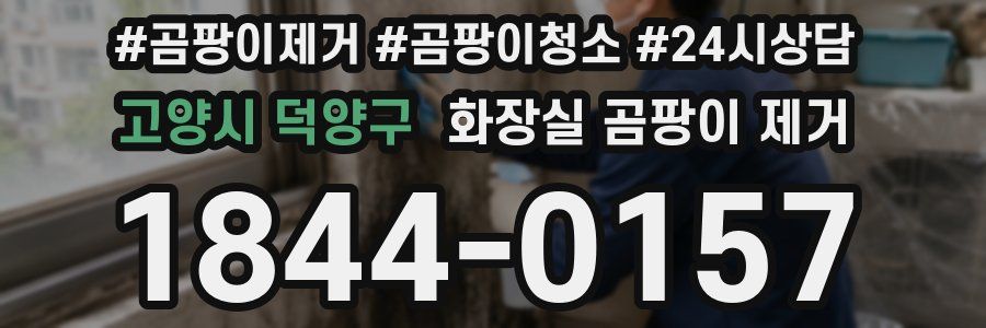 고양시 덕양구 화장실 곰팡이 제거