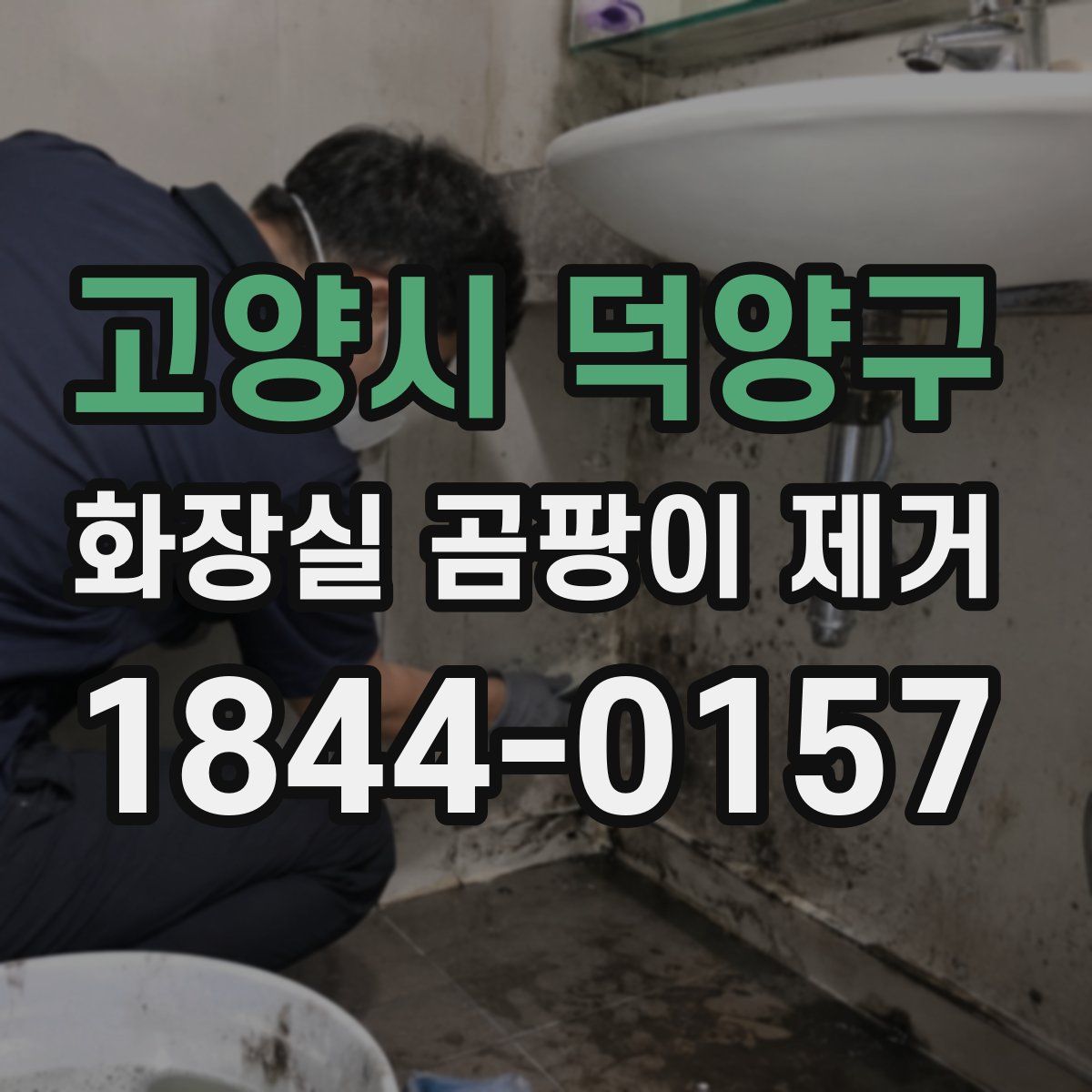 고양시 덕양구 화장실 곰팡이 제거