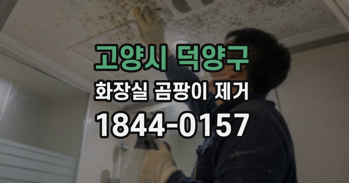 고양시 덕양구 화장실 곰팡이 제거