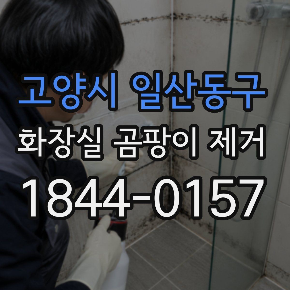 고양시 일산동구 화장실 곰팡이 제거 깊게 스민 얼룩을 단계별로 확인하는 법