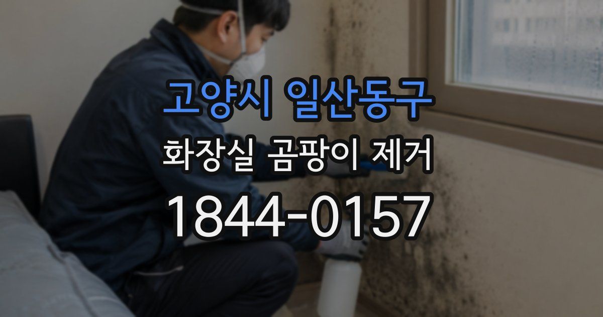 고양시 일산동구 화장실 곰팡이 제거