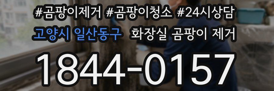 고양시 일산동구 화장실 곰팡이 제거