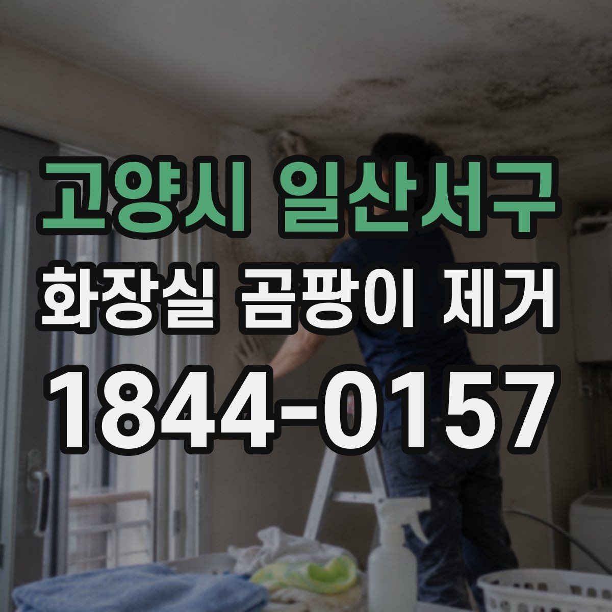 고양시 일산서구 화장실 곰팡이 제거 환기 부족이 남기는 흔적과 대처