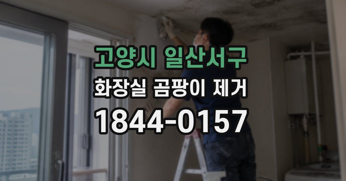 고양시 일산서구 화장실 곰팡이 제거