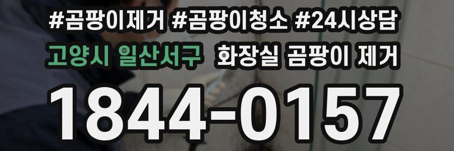 고양시 일산서구 화장실 곰팡이 제거