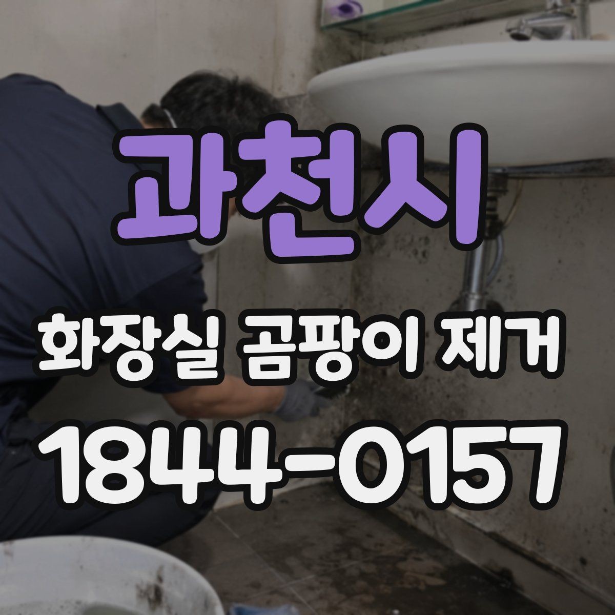 과천시 화장실 곰팡이 제거 셀프로 가능한 구간과 전문가 판단법