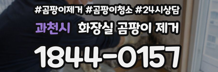 과천시 화장실 곰팡이 제거