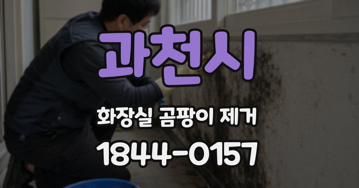 과천시 화장실 곰팡이 제거