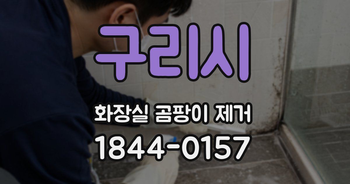 구리시 화장실 곰팡이 제거