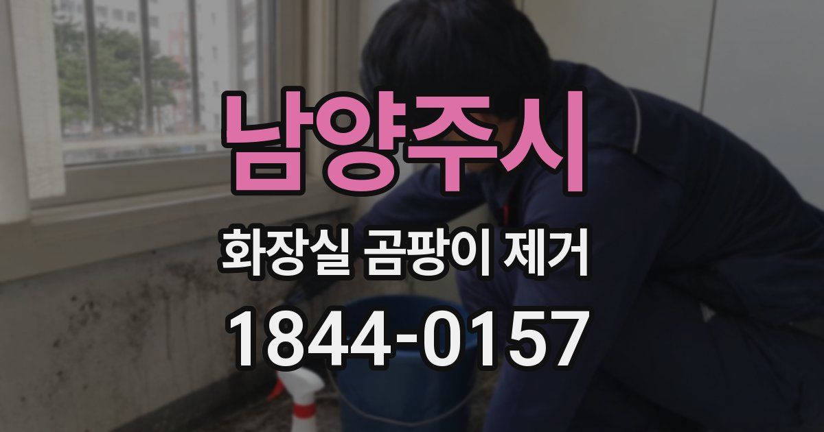 남양주시 화장실 곰팡이 제거