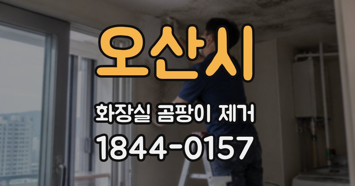 오산시 화장실 곰팡이 제거