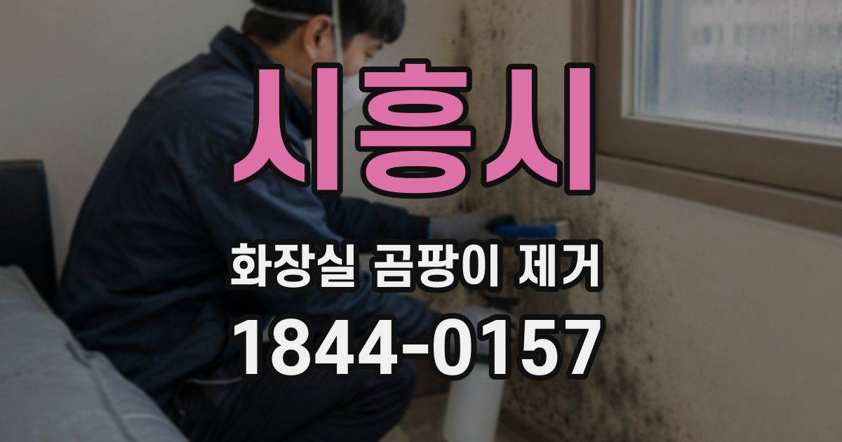 시흥시 화장실 곰팡이 제거