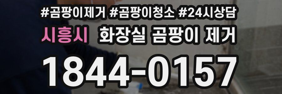 시흥시 화장실 곰팡이 제거