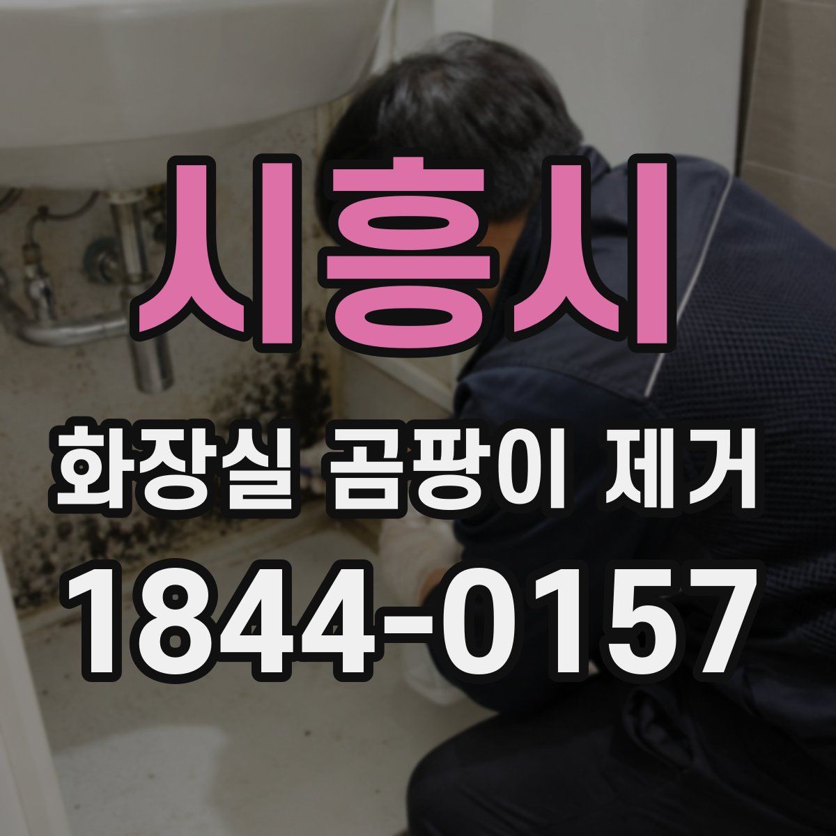 시흥시 화장실 곰팡이 제거