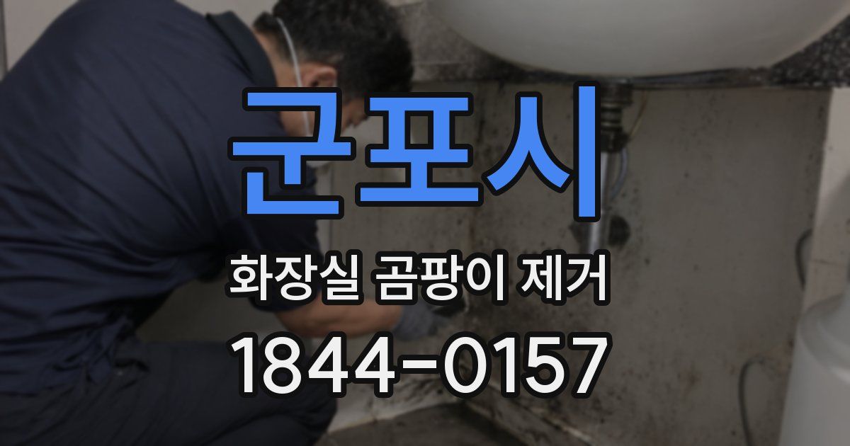 군포시 화장실 곰팡이 제거