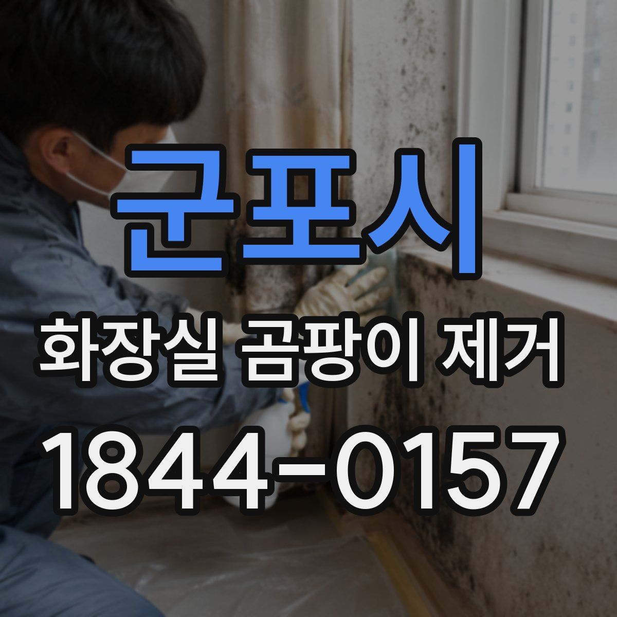 군포시 화장실 곰팡이 제거