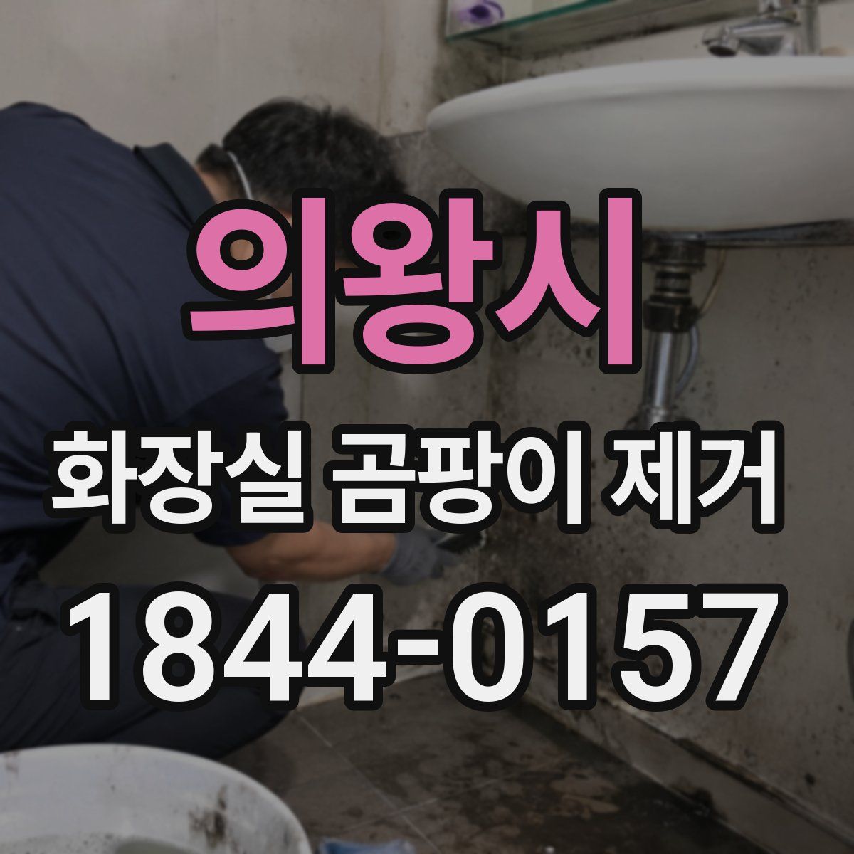 의왕시 화장실 곰팡이 제거
