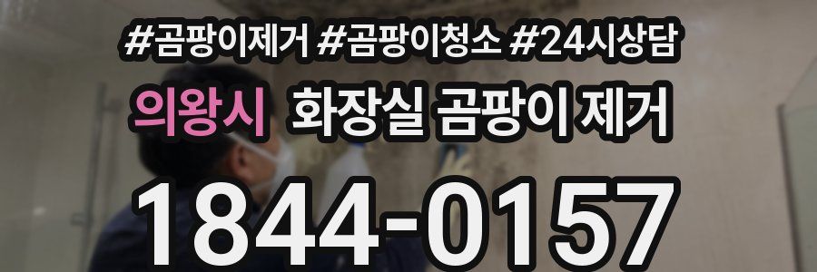 의왕시 화장실 곰팡이 제거