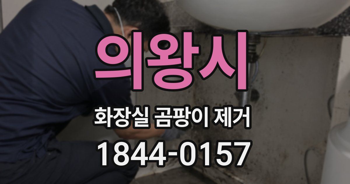 의왕시 화장실 곰팡이 제거