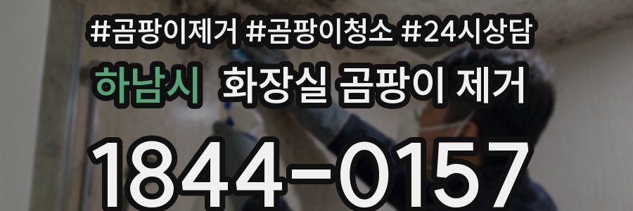 하남시 화장실 곰팡이 제거