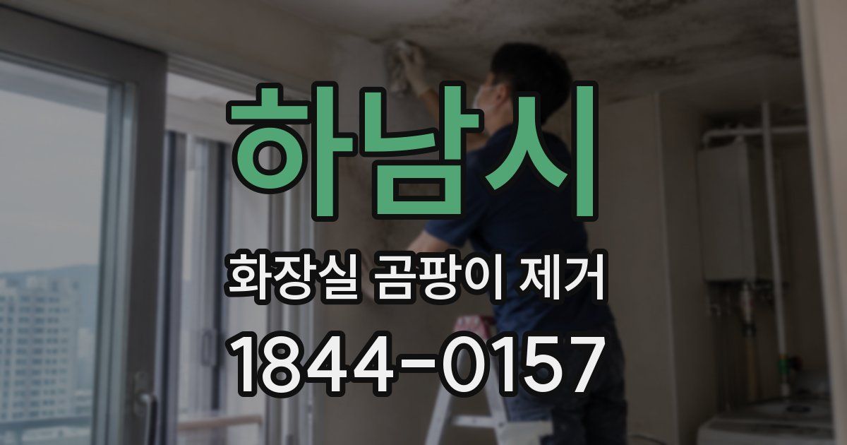 하남시 화장실 곰팡이 제거