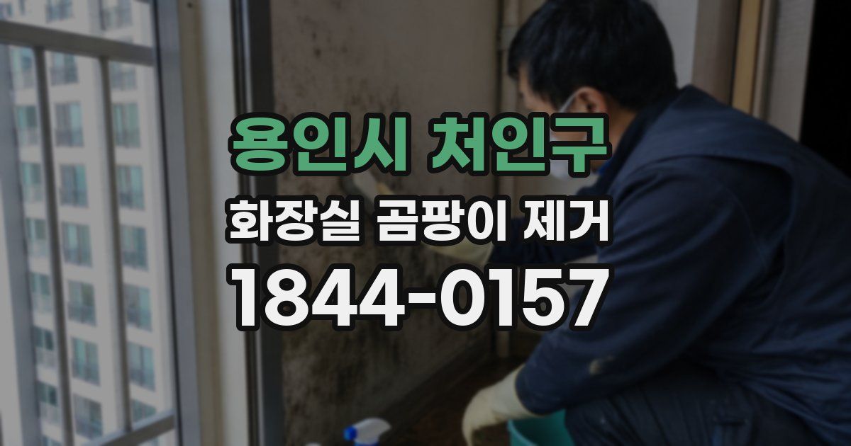 용인시 처인구 화장실 곰팡이 제거