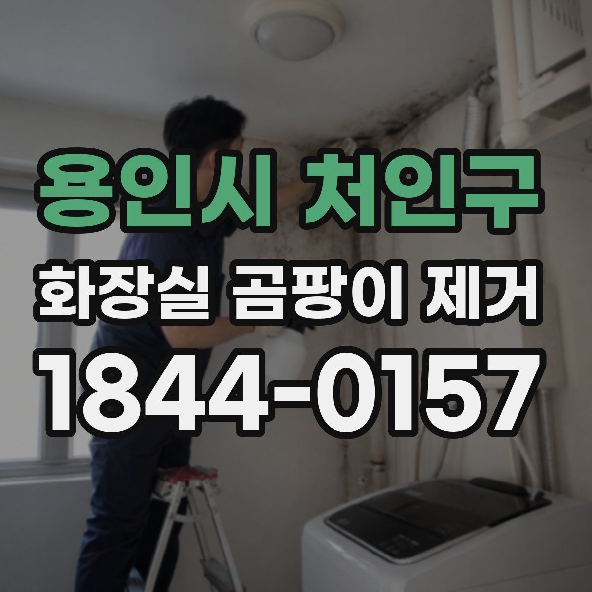 용인시 처인구 화장실 곰팡이 제거