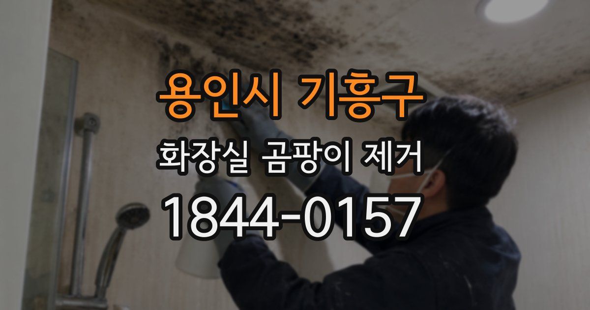 용인시 기흥구 화장실 곰팡이 제거