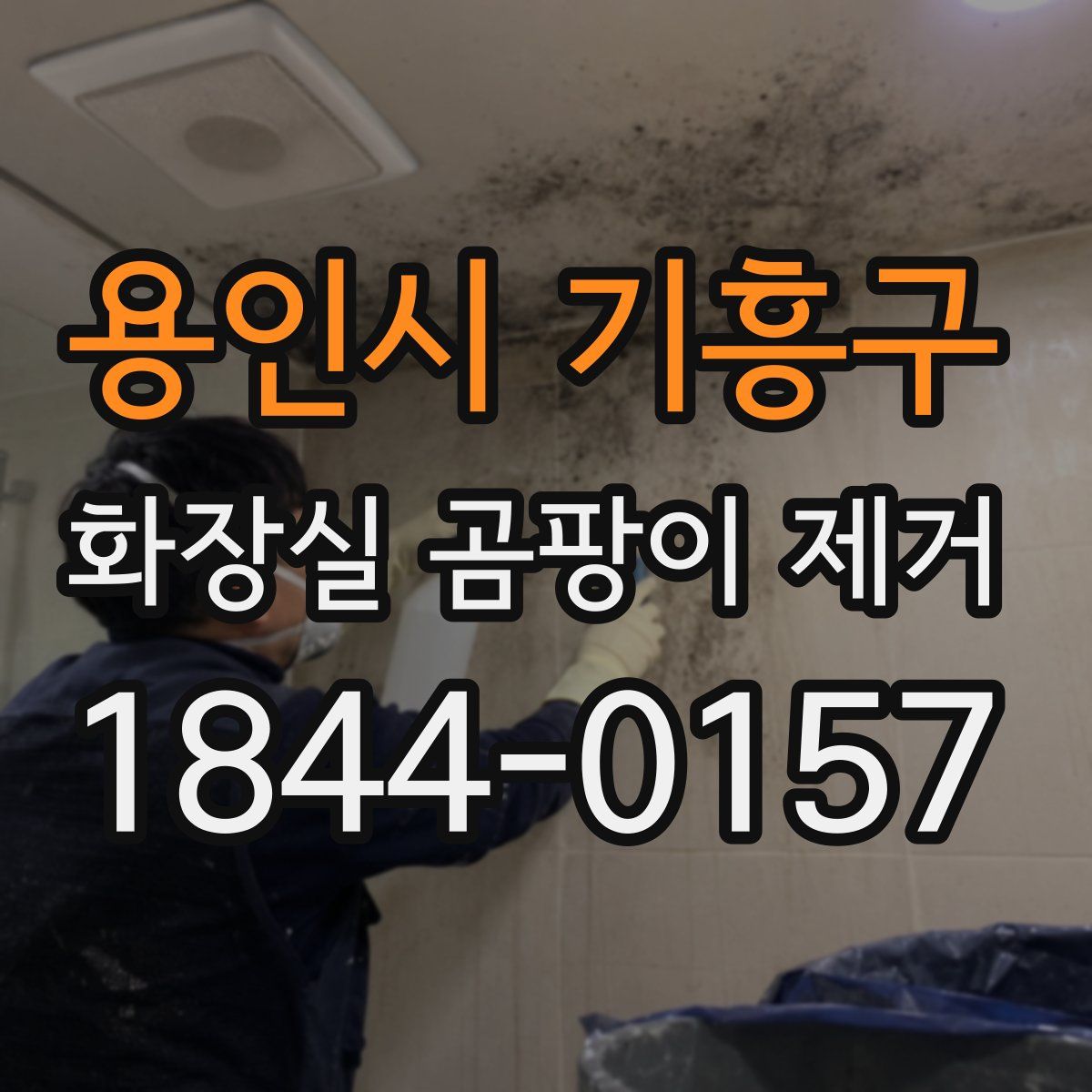 용인시 기흥구 화장실 곰팡이 제거