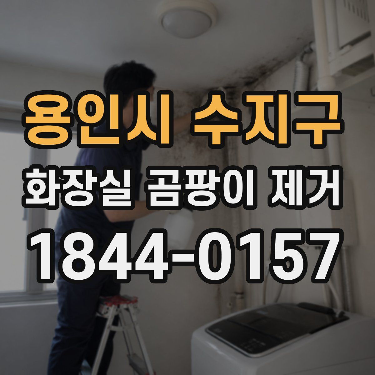 용인시 수지구 화장실 곰팡이 제거